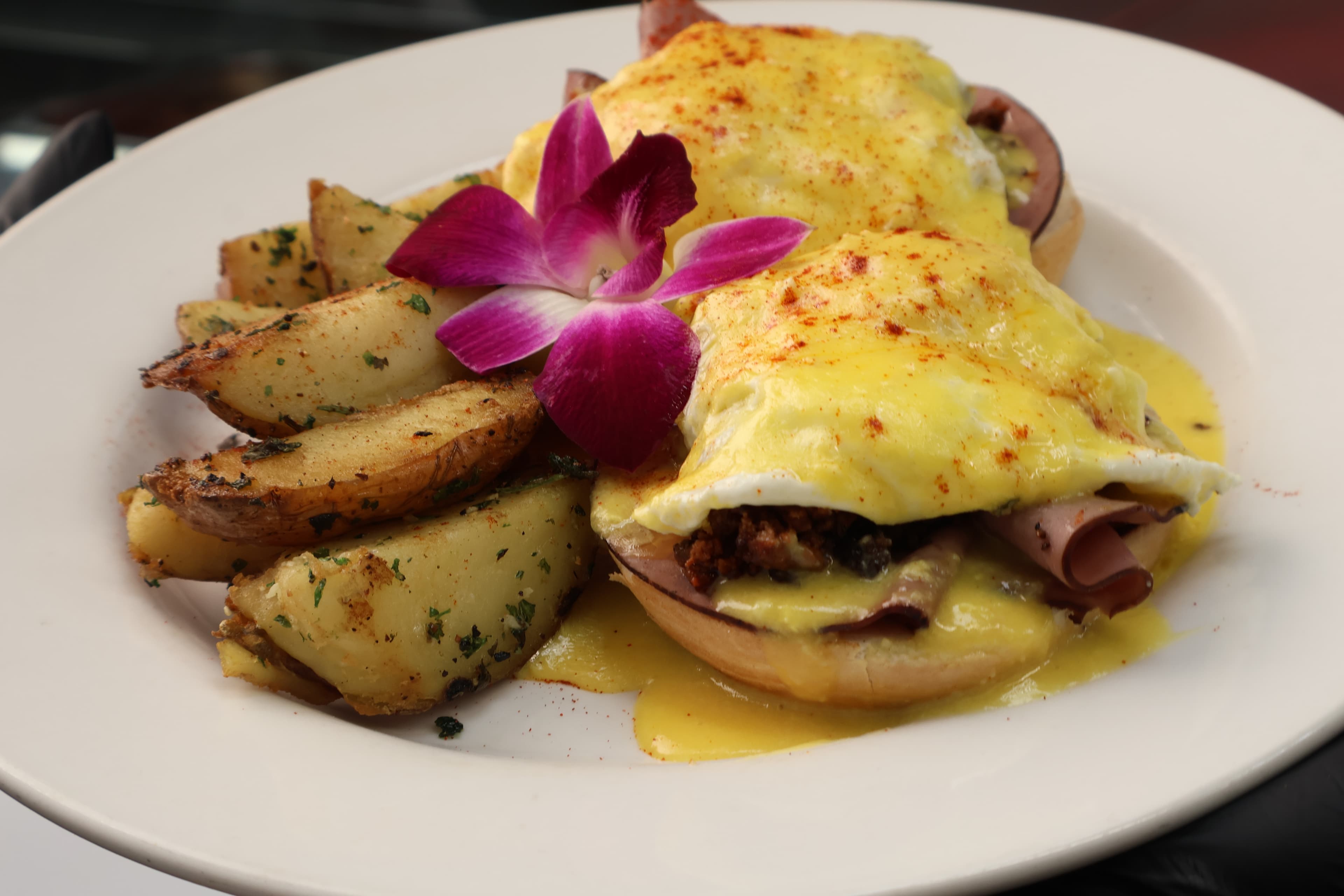 Latin Grill Tampa — photo 13